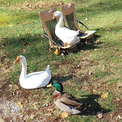 george-peaches-and-holly george peaches and holly